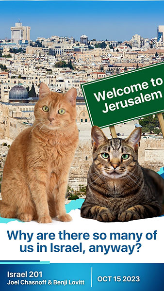 How did Jerusalem’s stray cat problem spur religious debate?